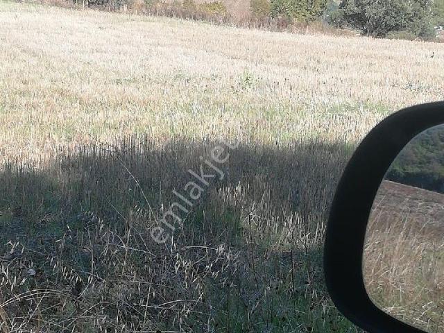 Çekirge Süleyman Sokak 1+1 Daire