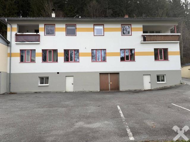 Ehemaliger Malereibetrieb mit 2 Wohnungen und großem Grundstück