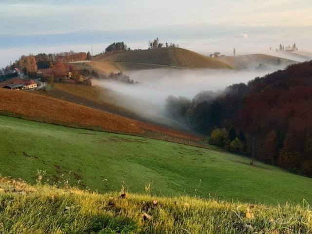 ehemaliger Gutshof mit Traumblick an der südsteirischen Weinstraße