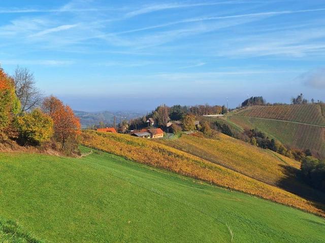 ehemaliger Gutshof mit traumhaften Blick an der südsteirischen Weinstraße