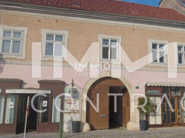 EHEMALIGES WINZERHAUS IM ZENTRUM VON LANGENLOIS