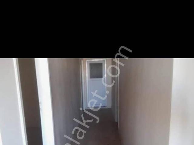 Şehitlik Et Balık Kurumu Civarinda
