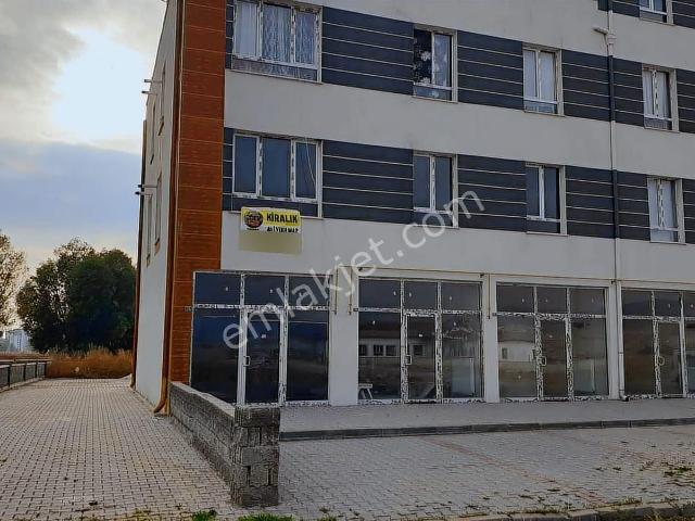Şehir Hastanesi Bölgesinde Düşük Katlı Fulll Eşyalı