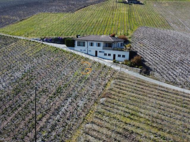 Einzelhaus im Herzen des Walliser Weinlandes!