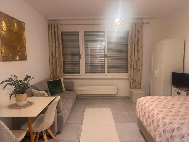 EINZIMMERWOHNUNG IN VEVEY VD, MÖBLIERT, BEFRISTET