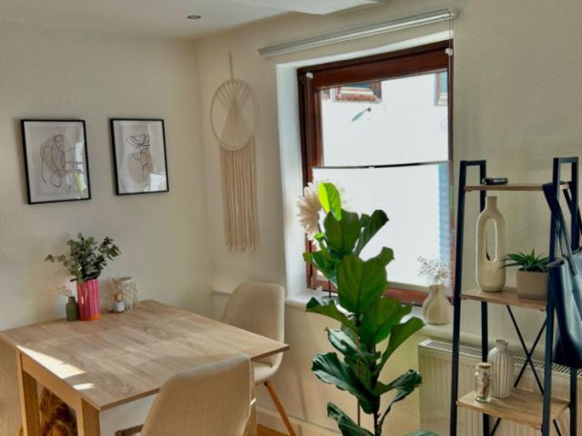 Einzimmerwohnung Innenstadt Göttingen