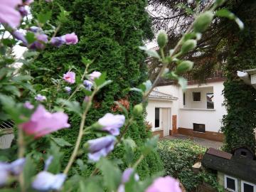 Reinheim, Darmstadt-Dieburg - Garten