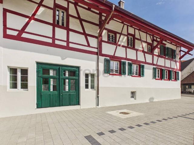 Einzigartige 3.5 Zimmer Wohnung mit historischem Charakter