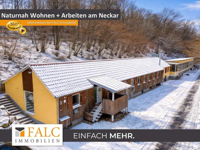 Einzigartige Immobilie Naturnah Wohnen und Arbeiten am Neckar