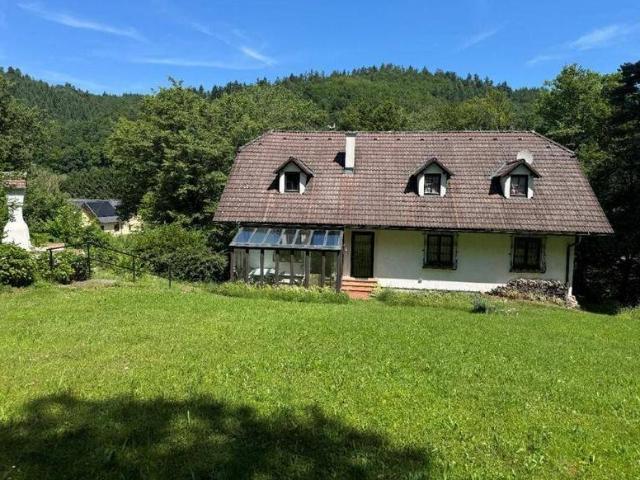 Einzigartige Liegenschaft mit großem Haus in der Wachau/ Langegg