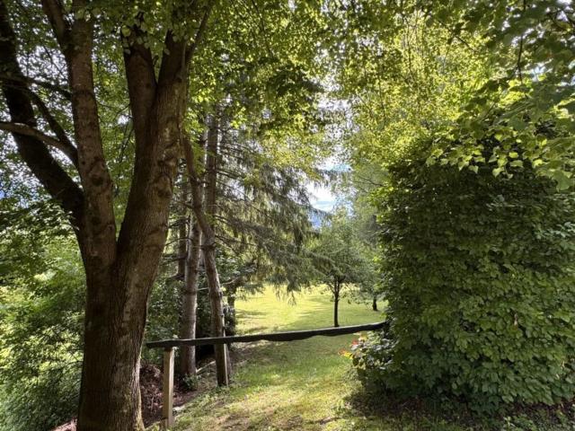 Einzigartiger Kraftort im Drautal Wohnhaus mit Parkanlage und Wald
