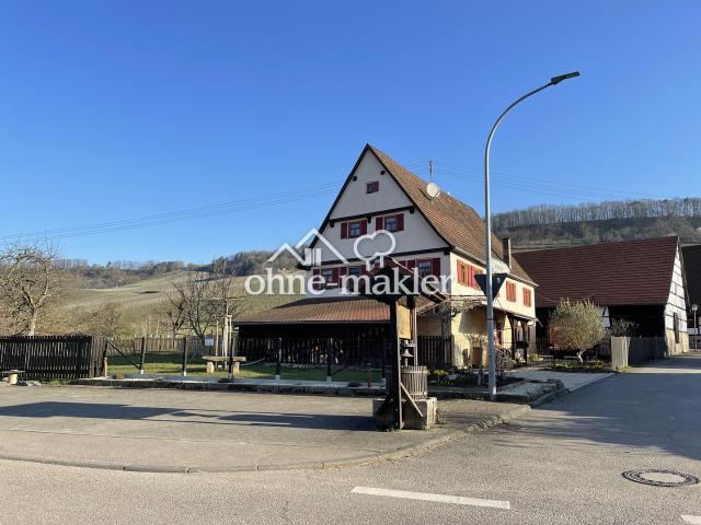 Historischer Hof mit viel Platz und malerischen Weinbergen