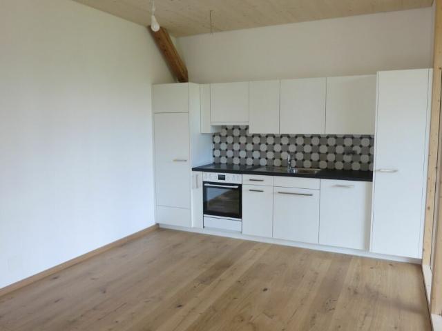 Einzigartiges Wohnambiente 2½ Zimmer mit Holzelementen und Loggia