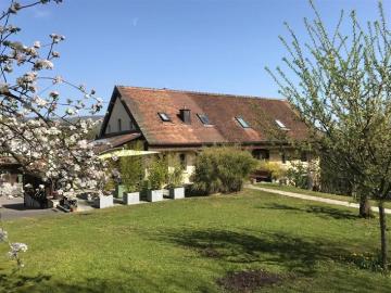 Ein Garten, der vor neugierigen Blicken geschützt ist, und ein flexibles Interieur
