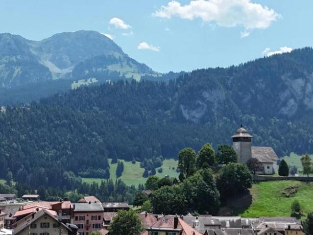 Ein gemütliches 3 Zimmer Dachgeschoss im Herzen von Château d'Oex
