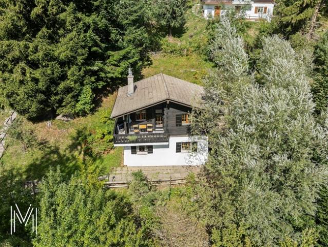 Ein friedlicher Zufluchtsort am Fuße des Moléson – 4,5 Zimmer Chalet im Herzen der Natur