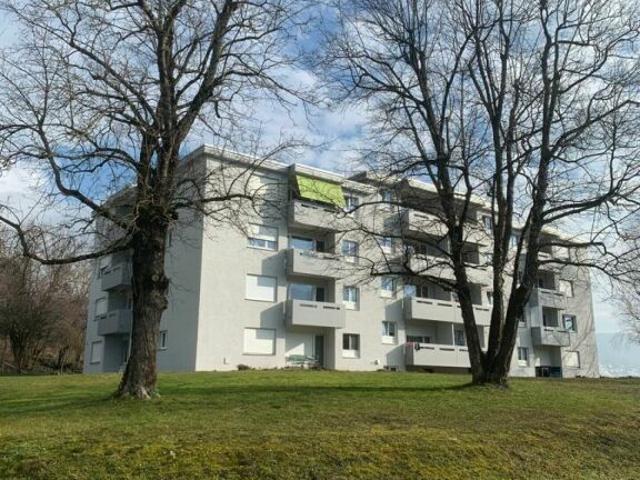 Ein kleiner Traum in 2 Zimmern sucht neuen Mieter in Untersiggenthal