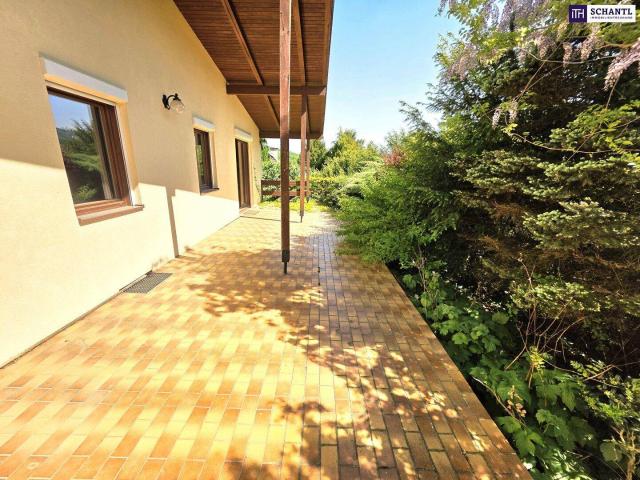 Ein Haus wie ein Sonntag Sonnig, ruhig und voller Möglichkeiten! Tolle Ruhelage mit Süd West Ausrichtung + 6 Zimmer + Großer Keller + Terrasse + Garage!