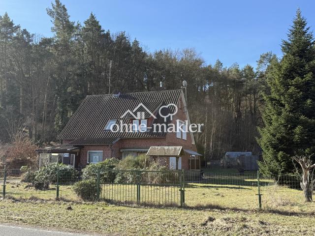 Haus mit Elbblick
