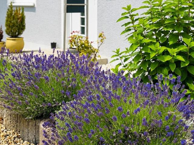 Ein Haus, das deutlich mehr bietet – beheizter Wintergarten, Garage + 2 Stellplätze