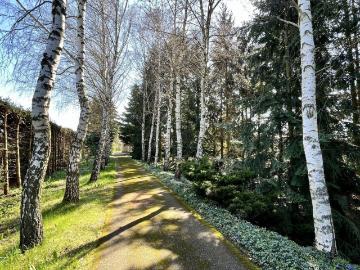 Haus zum Verkauf in 3830 - Garten, Keller