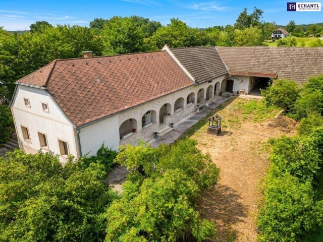 Ein Ort mit Geschichte – bereit für neue Träume und frisches Leben sanierungsbedürftiger Bauernhof in 7561 Heiligenkreuz