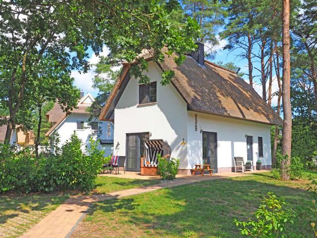 Ein Ort zum Wohlfühlen – Reetdach Ferienhaus mit Sauna und Kamin