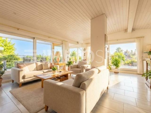 Ein Logenplatz über den Dächern Penthouse mit grosser Terrasse