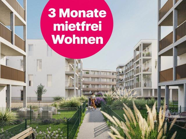 Ein neues Kapitel Wohnqualität – stilvoll, nachhaltig und zukunftsbewusst