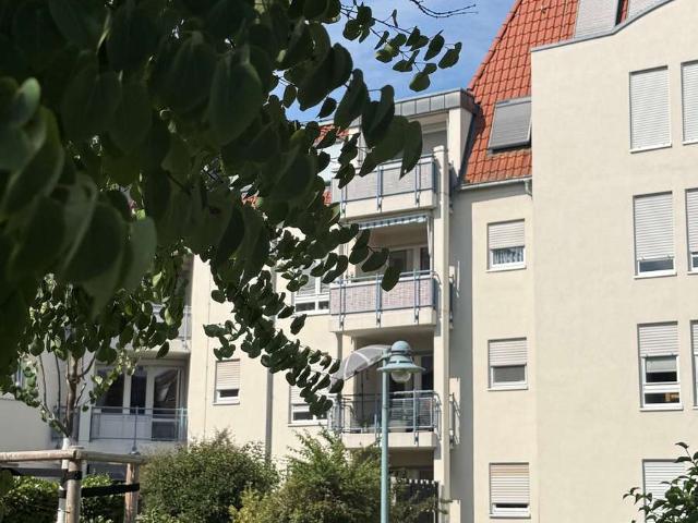 Ein Schmuckstück in ruhiger Lage! Zum Verkauf 3 Zimmerwohnung im beliebten Dresden Laubegast!