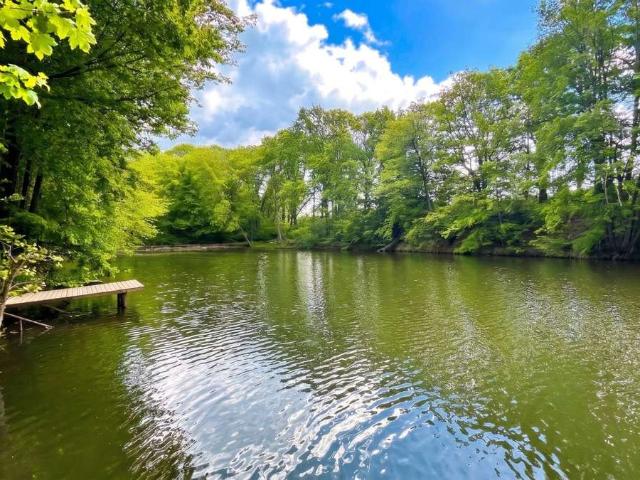 Ein See, ein Haus, ein Steg Freiheit! nahe Colditz bei Leipzig