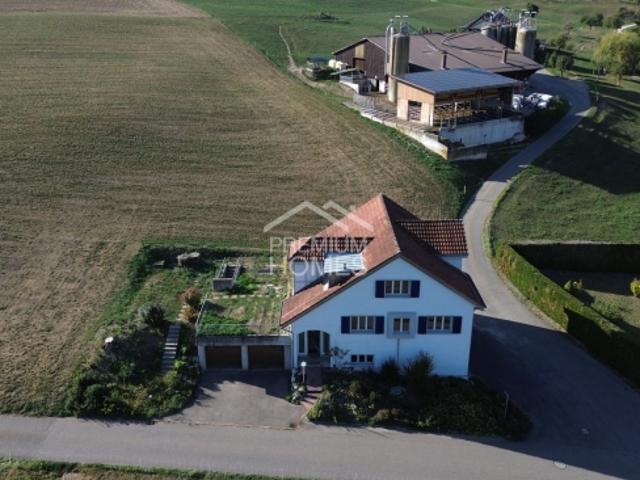 Ein Rohdiamant mit Weitblick