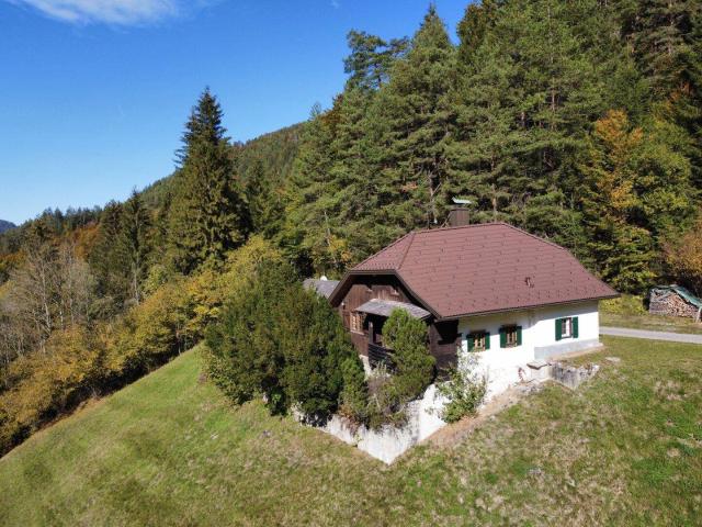EIN RÜCKZUGSORT MIT BESONDEREM CHARME – WALDHAUS MIT ATELIER IN RUHELAGE!