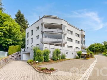 Ein Wohntraum auf einer Ebene: Attika mit Lift in die Wohnung
