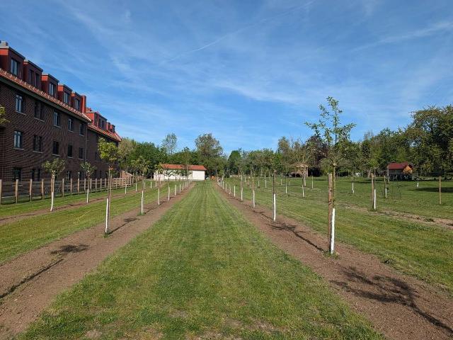 Ein Traum am Urselbach