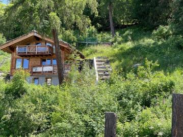 Nendaz, Gundis, Wallis - Terrasse