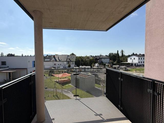 Ein viertel grün gefördert, nachhaltig und schöner Wohnen