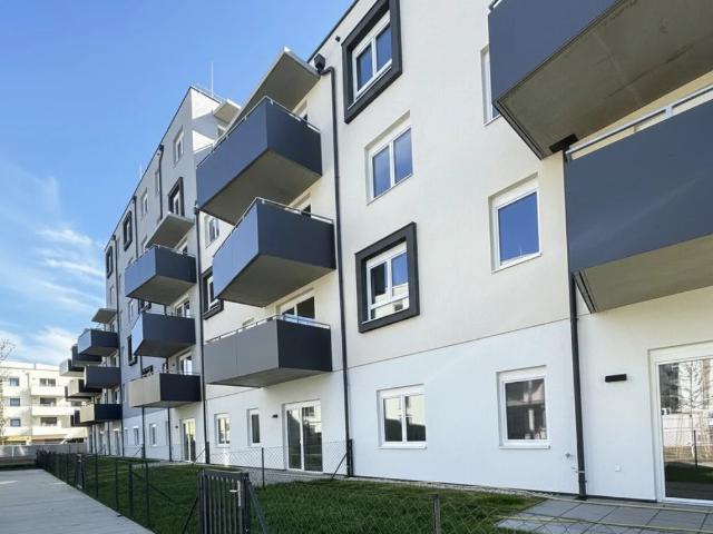 „ein viertel grün“ in Wiener Neustadt traumhafte