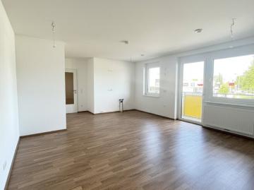 „ein viertel grün“ Wiener Neustadt – moderne