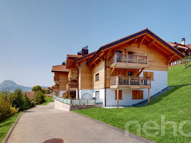 Ein XXL Balkon mit Blick auf die Freiburger Voralpen