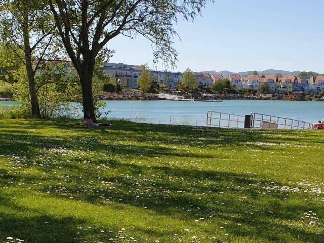 Ein zu Hause zum Ankommen unsere Wohnung im Seepark Vösendorf