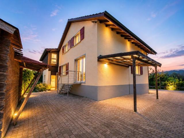 Ein Zuhause am Rhein mit Naturpool und Ausbaupotenzial exklusives 8.5 Zimmer Einfamilienhaus