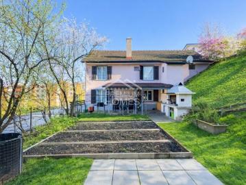 Frauenfeld, Bezirk Frauenfeld, Thurgau