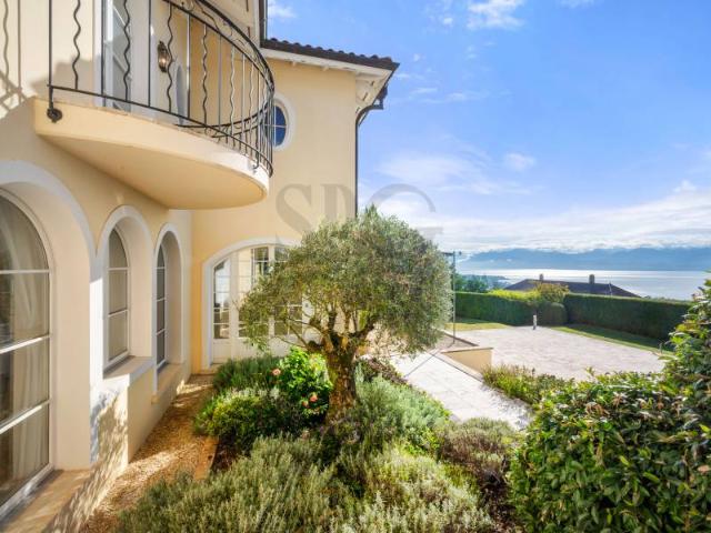 Eine mediterrane Kulisse zwischen Weinbergen und See