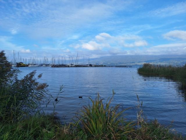 Eine kleine Ecke des Paradieses am See in Cheyres