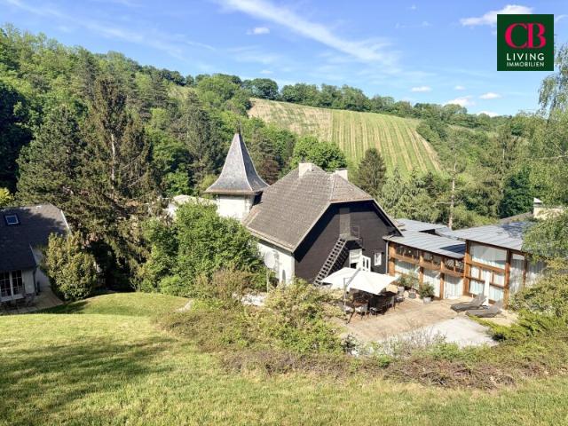 VILLA VOLLER SEELE, GESCHICHTE, UND ZEITLOSER ELLEGANZ !