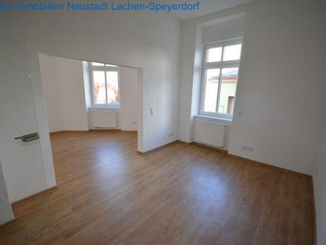 Eine wunderschoene Altbauwohnung in zentraler Stadtlage