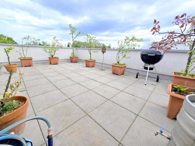 * * EINE WOHNUNG ZUM VERLIEBEN !. DACHTERRASSEN MAISONETTE 10 RADMIN. zur TU INFFELDGASSE * *