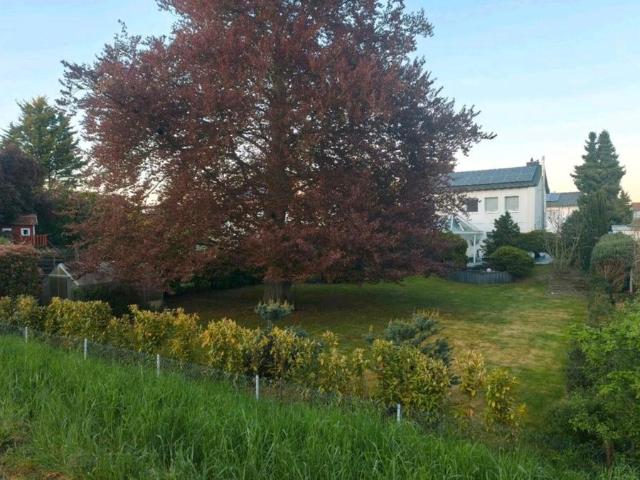 Einfamilienhaus*Top Lage direkt am Altrhein