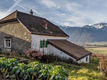 Einfamilienhaus 3.5 Zimmer